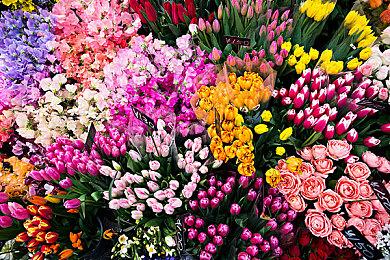 《战锤西格玛时代：毁灭之境》实机预告片公布